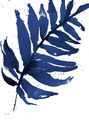 Image Not Available